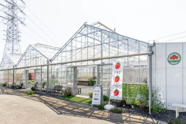 ストロベリーハウス EBINA【海老名】